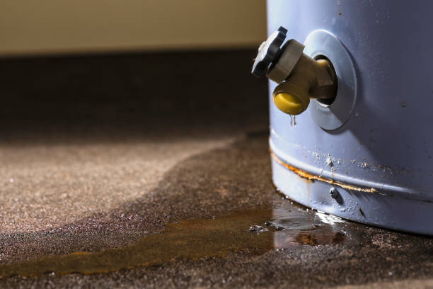 Best Professional water damage repair  in Decatur, GA