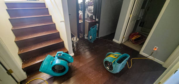 Best Carpet water damage restoration  in Decatur, GA