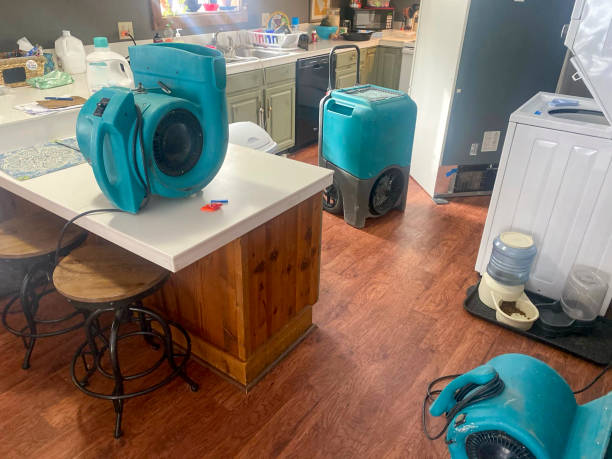 Best Water damage restoration experts  in Decatur, GA