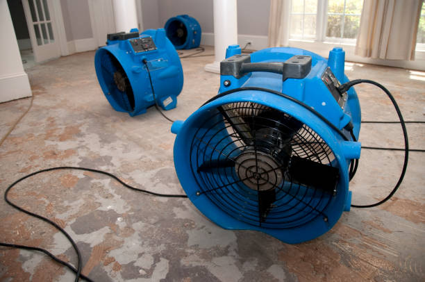 Best Ceiling water damage repair  in Decatur, GA