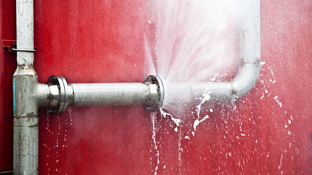 Best Carpet water damage restoration  in Decatur, GA